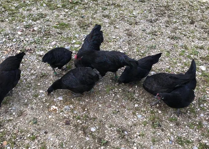 Beim-hofbauer Appartement Tittmoning