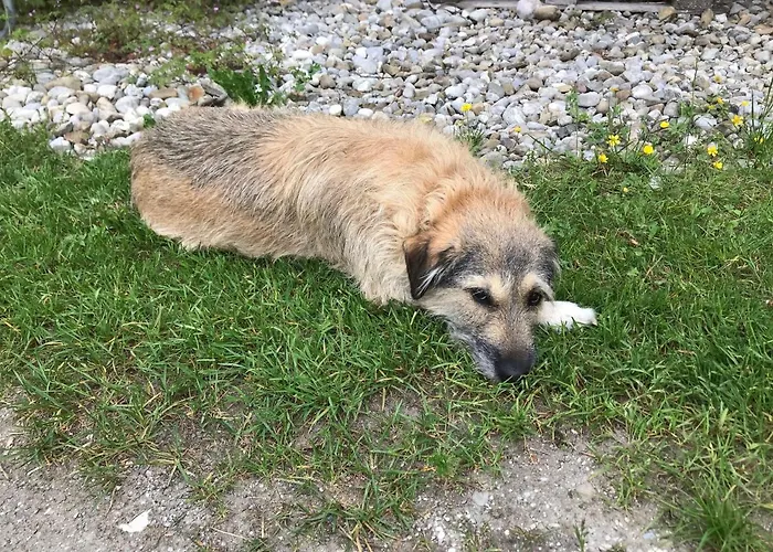 Beim-hofbauer Appartement Tittmoning