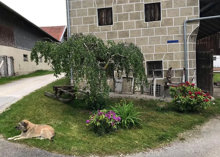 Appartement Beim-hofbauer *